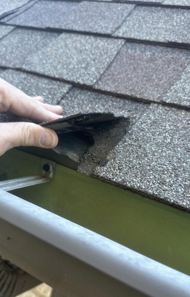 Roof Inspection Mesquite TX